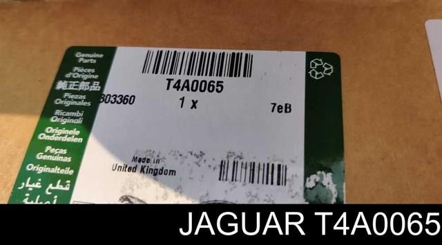  Jaguar T4A0065 ціна, від 181.25 USD
