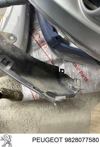 Купити 9828077580 Peugeot/Citroen 
