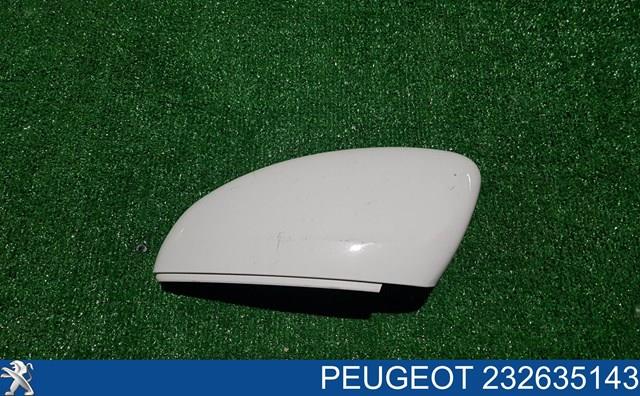  232635143 Peugeot/Citroen