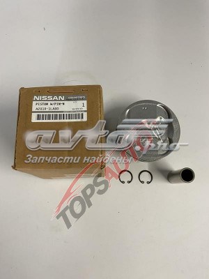  Nissan/Infiniti A20101LA0D