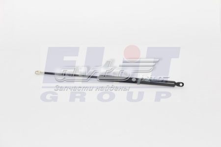 Амортизатор двері задньої Magneti Marelli GS0043 ціна, від 11.49 USD