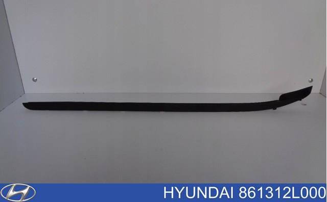 861312L000 Hyundai/Kia 