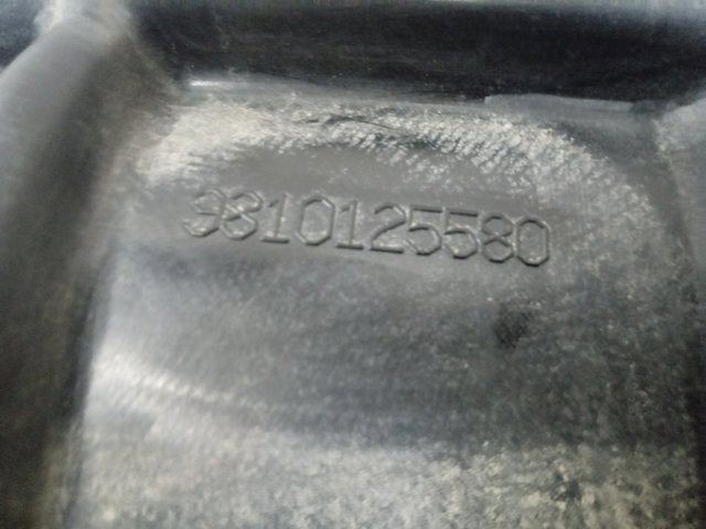 9810125580 Peugeot/Citroen Підкрилок задній правий