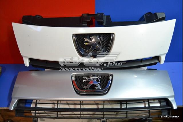  1497644077 Peugeot/Citroen