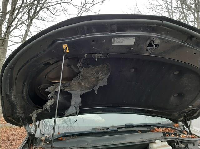  General Motors 25978498 ціна, від 47.85 USD