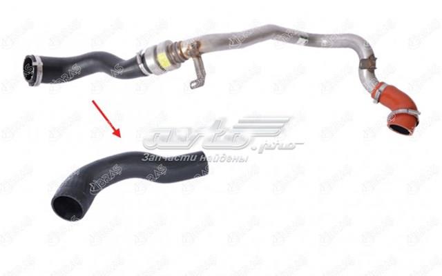Шланг/патрубок интеркуллера Land Rover LR041818 ціна, від 82.35 USD