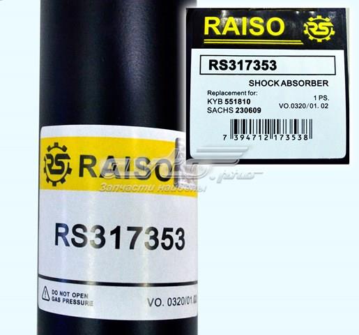 RS317353 Raiso Амортизатори задні