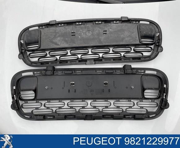  Peugeot/Citroen 9821229977 ціна, від 31.04 USD