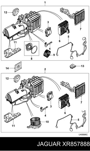  XR857888 Jaguar