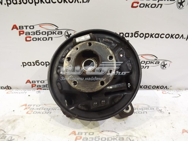 Цапфа - поворотний кулак задній, правий 430180024R Renault (RVI)
