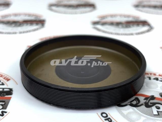 Купити 31339725 Volvo Заглушка-корок розподільника