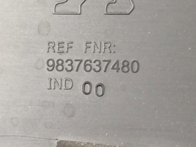  Peugeot/Citroen 9837637480