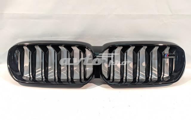Купити 51138082108 BMW Захисна решітка радіатора