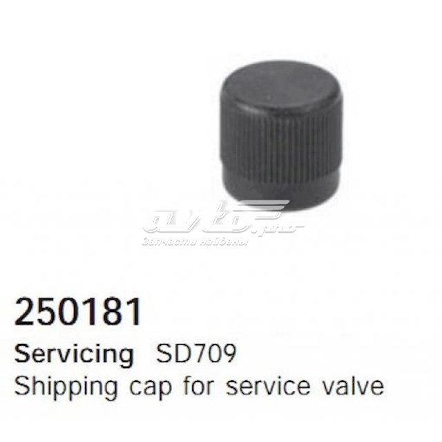 250181 Cargo 