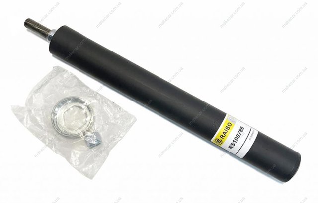 RS100786 Raiso Стійка передня