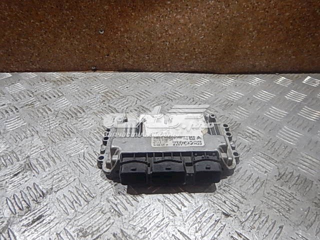 9662307380 Peugeot/Citroen 