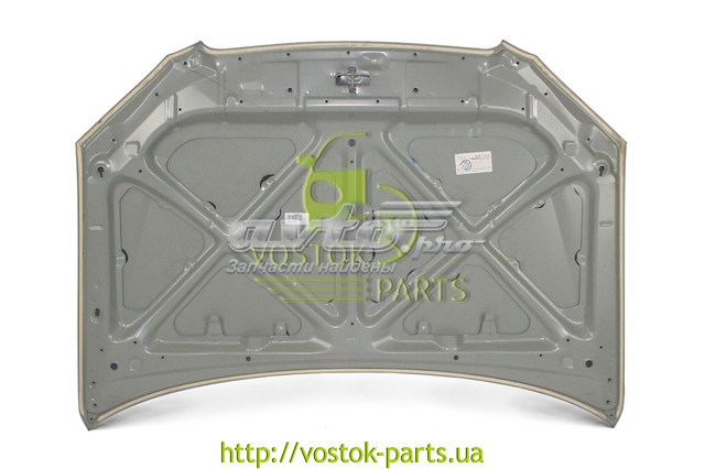 Капот BYD BYDF38402010 ціна, від 151.18 USD