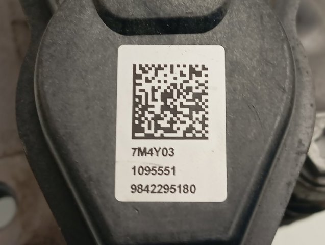 9842295180 Peugeot/Citroen 
