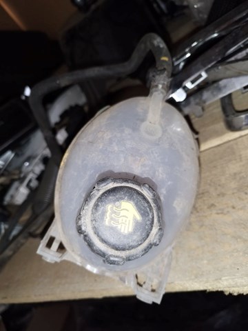  Renault (RVI) 217100680R ціна, від 7.86 USD