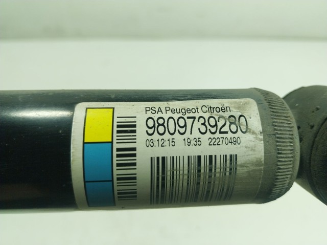 Задній амортизатор Peugeot/Citroen 9809739280