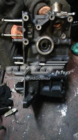 Блок циліндрів двигуна Dacia Duster (HS) (Дачія Дастер)