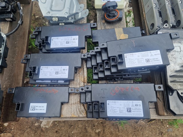  Tesla 110024100J