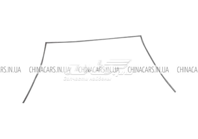 Купити S125206053 Chery Захисна накладка переднього скла