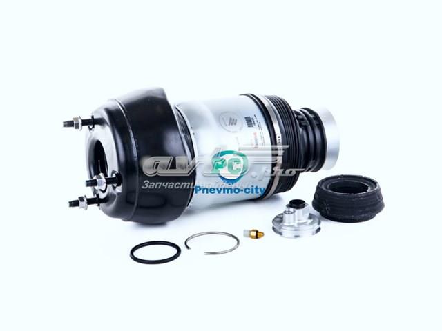 Купити A1663202513 Mercedes Амортизатора передній лівий