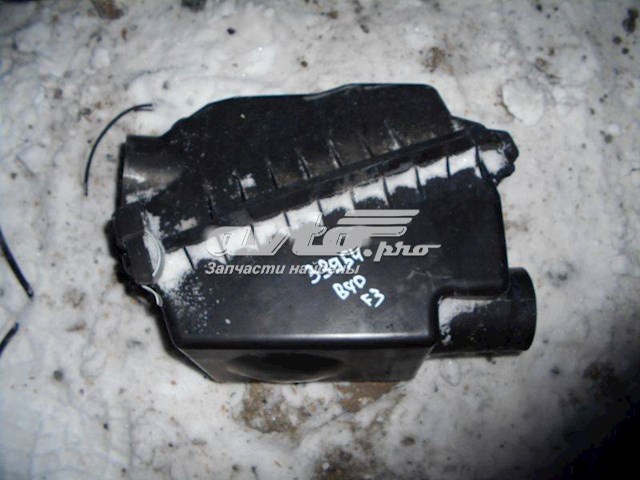 10016261 BYD 