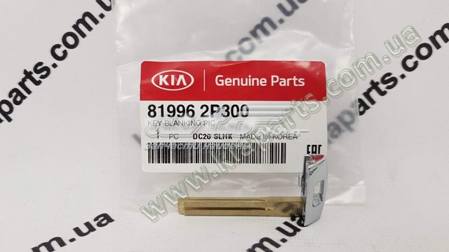 819962P300 Hyundai/Kia 