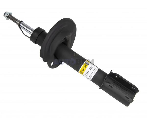 RS315265 Raiso Стійка передня