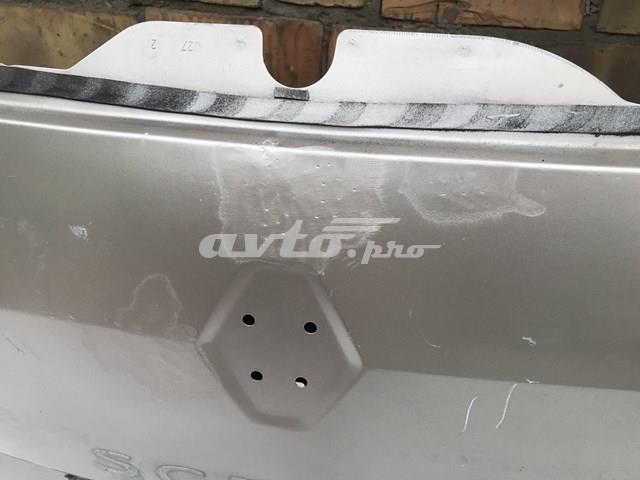 Ляда 901002669R Renault (RVI)