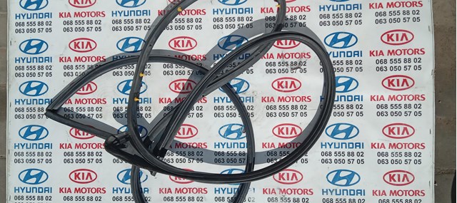  Ущільнювач двері передньо, правої (на двері) KIA Sorento 