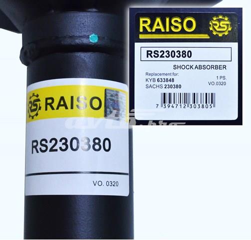 RS230380 Raiso Стійка передня