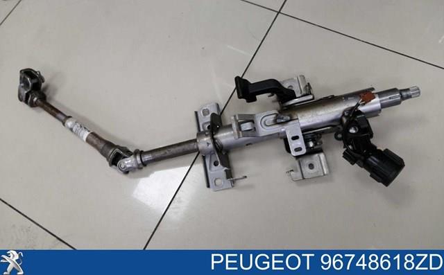 96748618ZD Peugeot/Citroen 