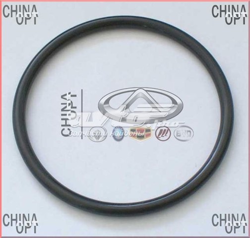  Geely E050000301