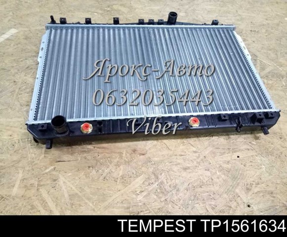 TP1561634 Tempest радіатор охолодження двигуна