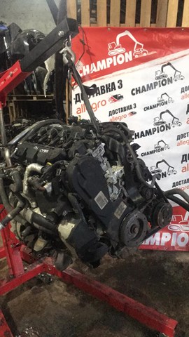 Купити D4204T Peugeot/Citroen Двигун