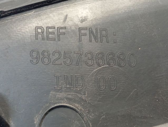  9825736680 Peugeot/Citroen