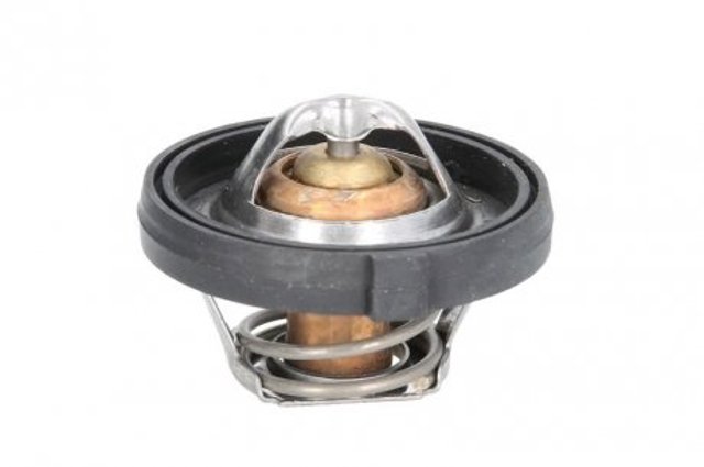  Motorad 68210218MT ціна, від 10.21 USD