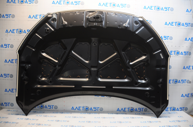 Капот 60100TRTA90ZZ Honda