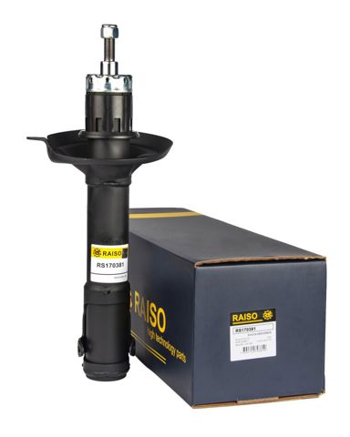 RS170381 Raiso Стійка передня