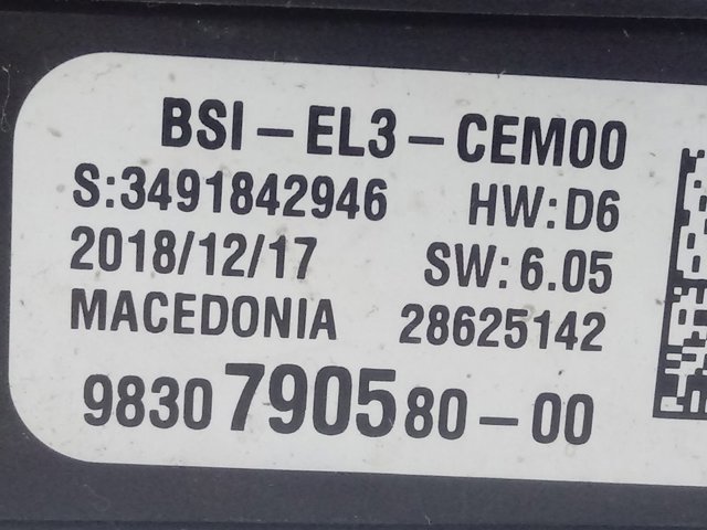 9830790580 Peugeot/Citroen 
