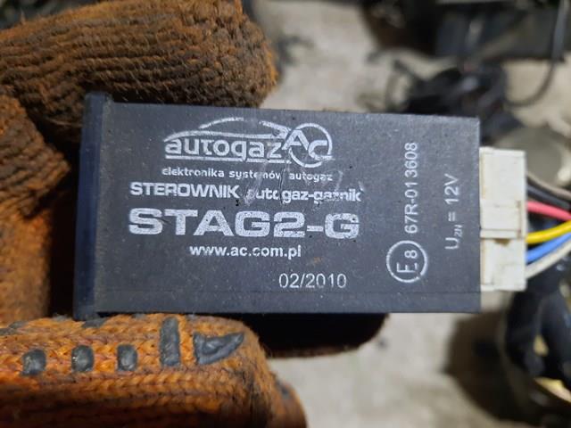  67R013608 Stag