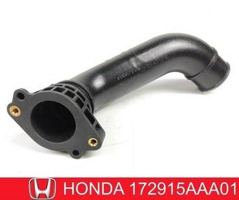 172915AAA01 Honda 