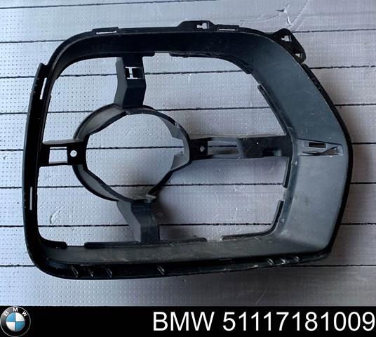 Кронштейн кріплення протитуманной фари, лівої на BMW X6 (E71)