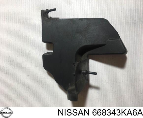  Nissan/Infiniti 668343KA6A