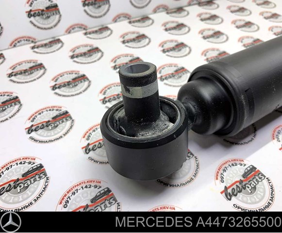A4473265500 Mercedes Амортизатори задні