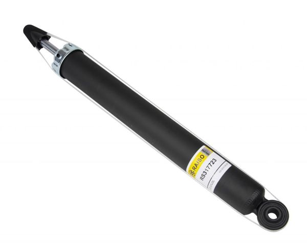 Задній амортизатор Raiso RS317723