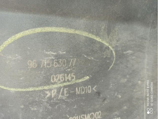  9671563077 Peugeot/Citroen